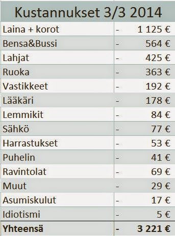 2014 3 3 katsaus menot