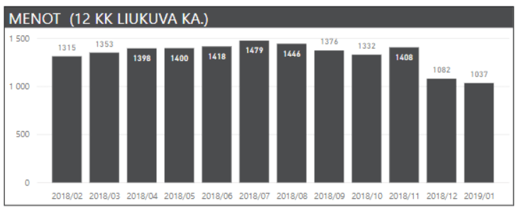 kuukausikatsaus menot 12kk 2019 01