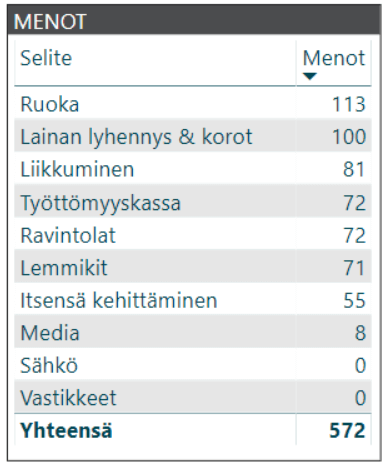 kuukausikatsaus menot 2019 01