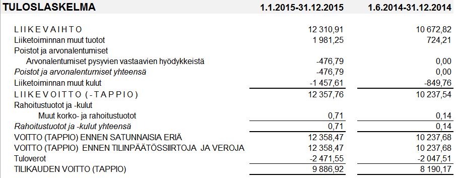 lisätuloja-tuloslaskelma-2015